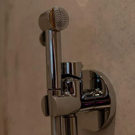 Adlerhorst 1 Zell Am With Private Sauna 公寓 *