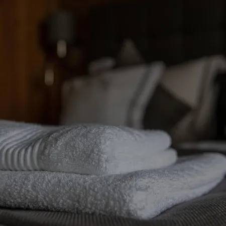 Adlerhorst 1 Zell Am With Private Sauna