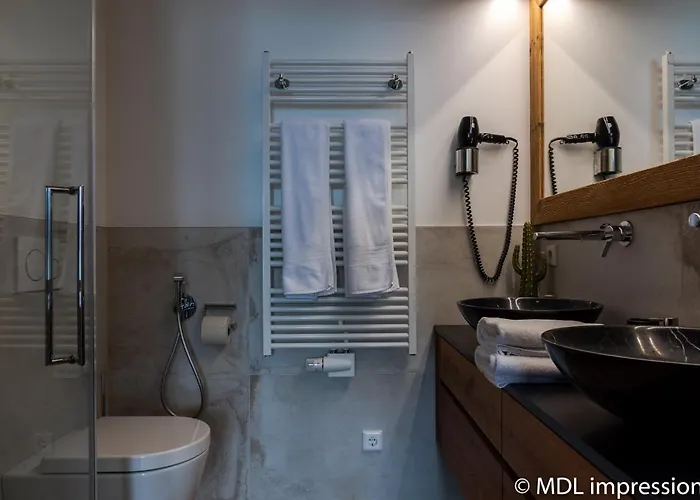 Adlerhorst 1 Zell Am With Private Sauna And Zell Am Kaprun Summercard In Summer Apartmán Zell am See