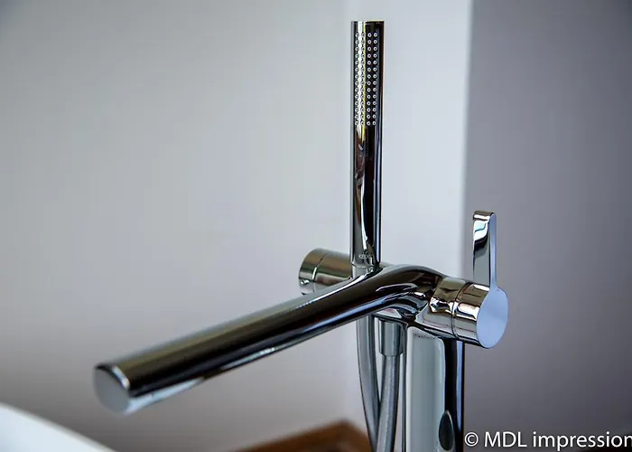 Adlerhorst 1 Zell Am With Private Sauna And Zell Am Kaprun Summercard In Summer Apartmán